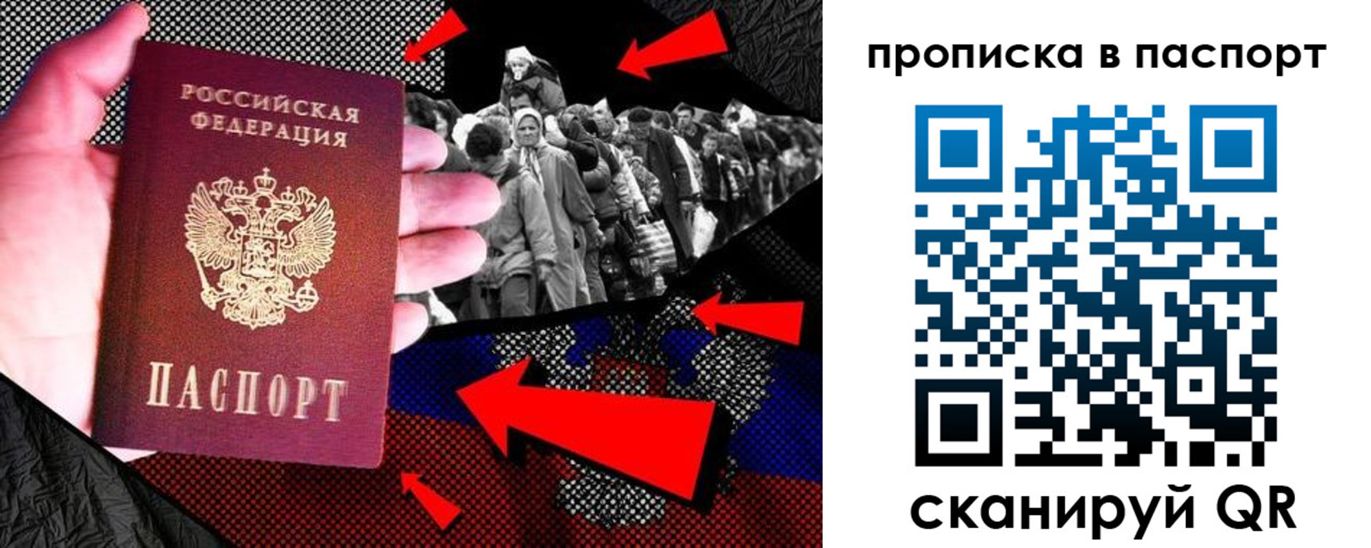 где прописаться в Павловске